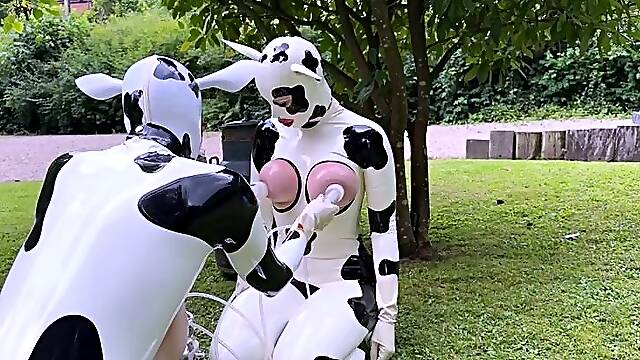 Big tittied lactating freaks milked like cows outdoors
