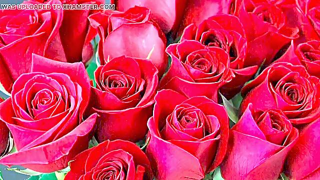 Bangla choti golpo total story in Bangla audio golpo beaut mature saree chachi Sadia cuckold hasband full story in Bangla audio