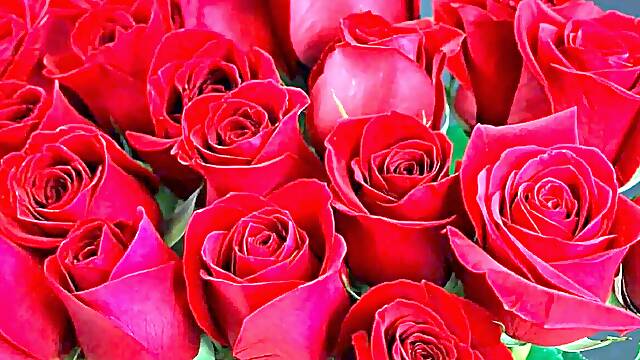 Erotic Bangla tales of passion and desire featuring hot Bangladeshi women